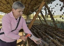 В Краснодарском крае открыли новое сельхозпроизводство