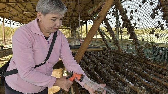 В Краснодарском крае открыли новое сельхозпроизводство