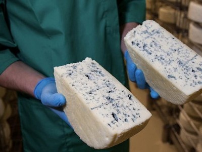 В Каневском районе Краснодарского края открылся новый цех по производству сыра