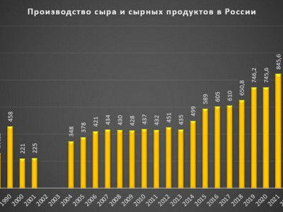 Производство сыра в России. Преодолена отметка в миллион тонн сыра в год